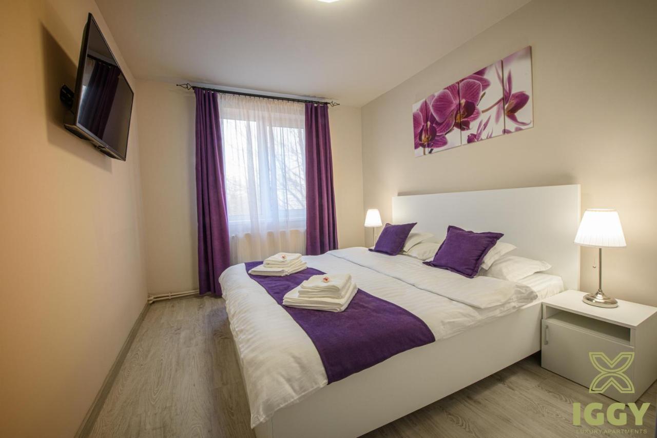Iggy Luxury * Hunedoara