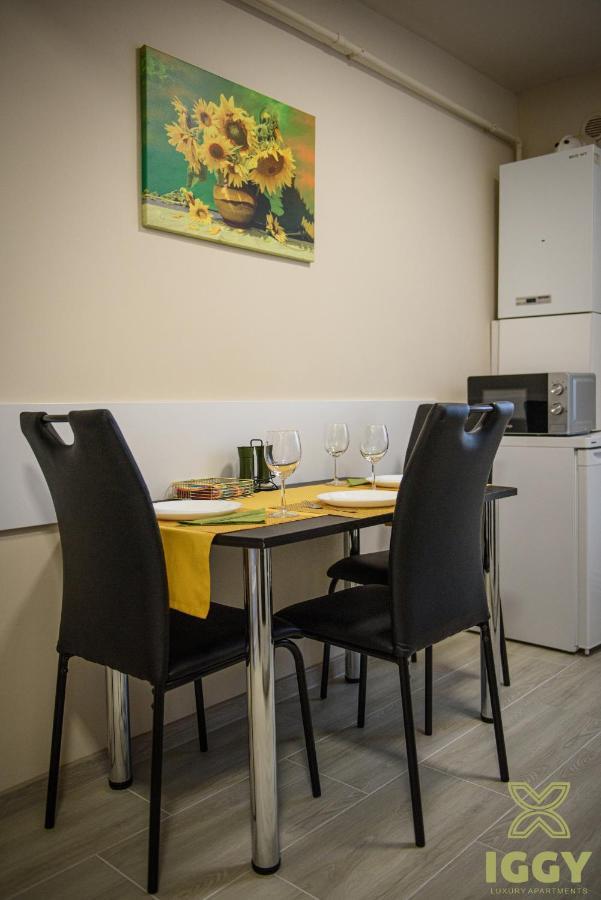 Iggy Luxury Apartment Hunedoara
