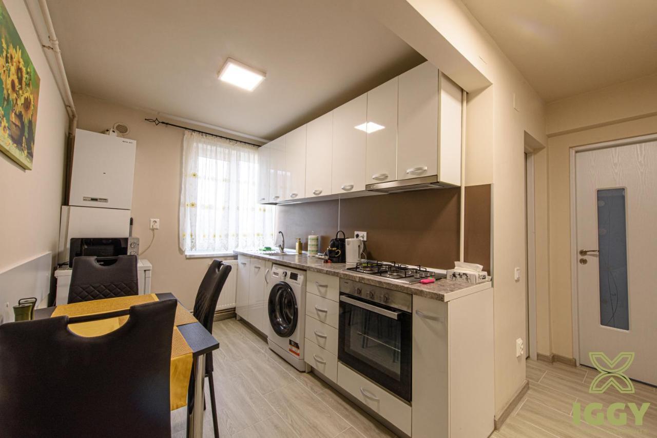 Iggy Luxury * Hunedoara